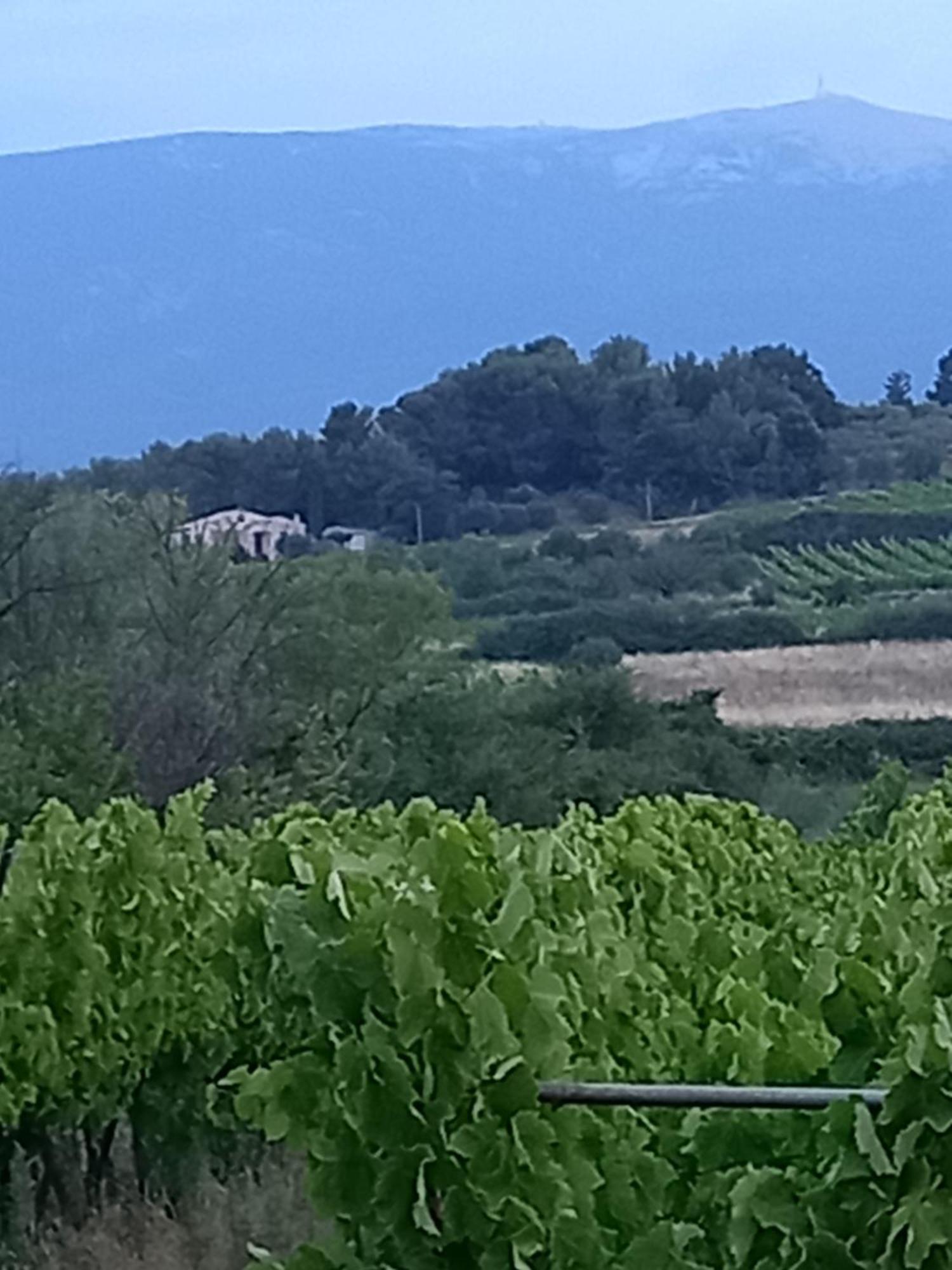 La Pifote Villa Villes-sur-Auzon Kültér fotó